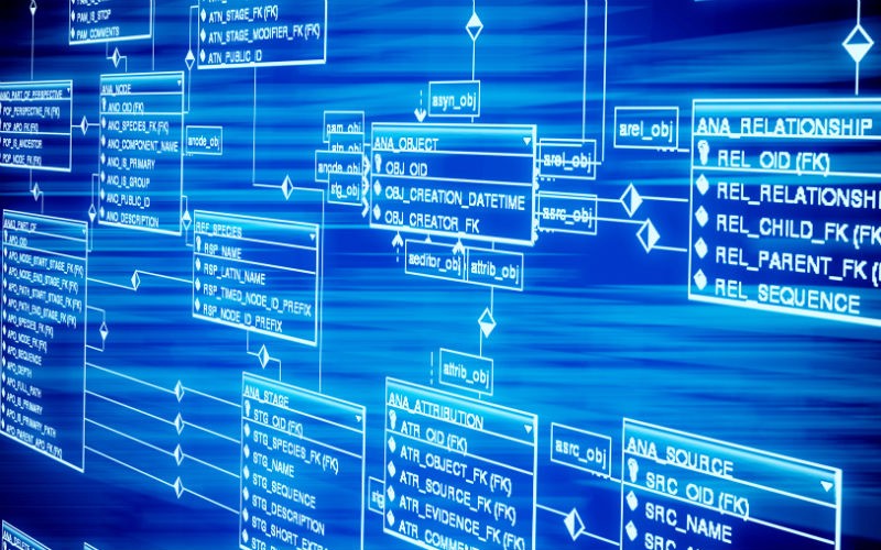 database support qsa